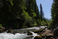 Could contain trees, river, rocks, blue skies