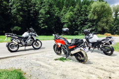 Forest (what else...)