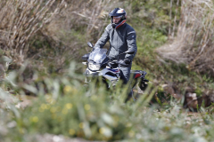 Exploring the local flora