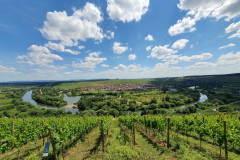 Mainschleife at Volkach