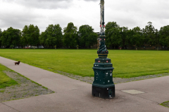 Reality Checkpoint with lonesome wiener dog making reality less likely