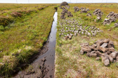 Black Scottish gold (peat)