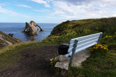 Bow Fiddle Rock
