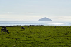 Ailsa Craig