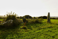 Ancient stone circles don't seem to bother