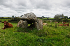 Uncurated part of Carrowmore Megalithic Cemetery