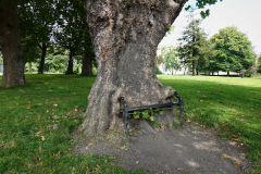 King's Inn Park, Dublin