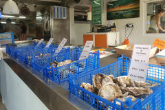 L'Atelier de l'Huître, Trébeurden