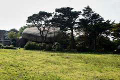 Plage Île Renote, Trégastel