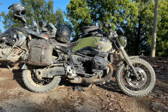 Species-appropriate playground