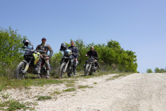 Transitalia Dream Team