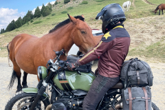 1 horse power stopping 109 horse power