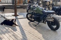Guarded motorcycle parking
