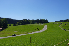 Best weather, nice crowd and a beautiful road