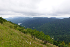 At the end of a deep Alsace valley there is always a Crémant waiting